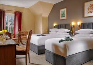 Отель Shannon Springs Hotel Шеннон Двухместный номер с 1 кроватью или 2 отдельными кроватями-6